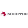 Arvin Meritor